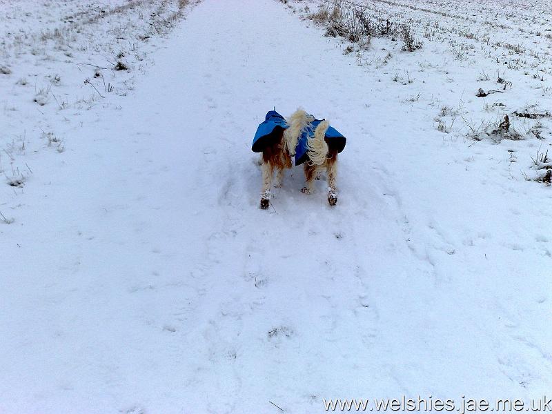 2010-01-06 12.jpg